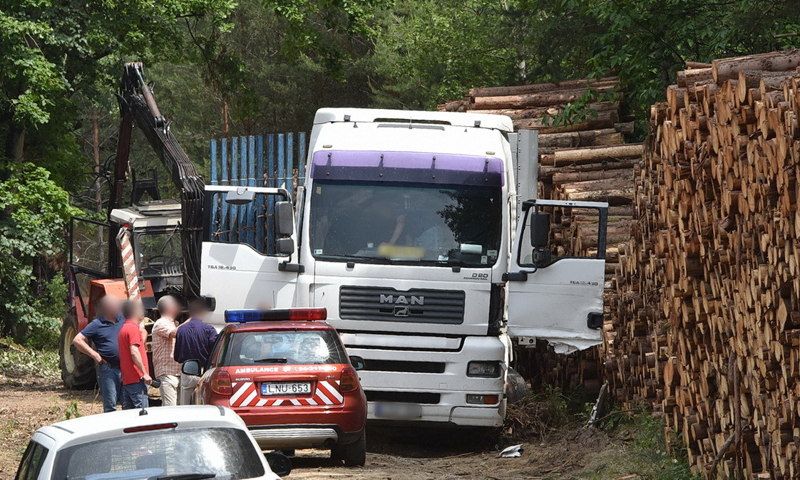 Erdőben ért halálos baleset egy férfit az osztrák határ közelében