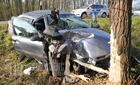 Halálos baleset Gércénél - Fának csapódott a Fiat