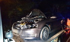 Két autó is elütötte a vemhes vaddisznót Kissomlyónál
