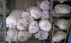 100 tonna takarmányt és állatgyógyszereket foglalt le a NÉBIH - milliós bírság várható