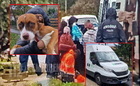 38 ember nyomorgott egy Iveco furgon rakterében Náraiban - egy kutya is utazott a menekültekkel