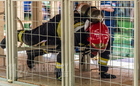 Mosonmagyaróvári és tatabányai csapat bizonyult a legjobbnak az országos tűzoltószakmai versenyen
