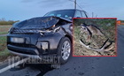 Négy sérült a vadgázolásnál - Land Rover elejéről csapódott Opel elé egy szarvasbika a 86-os főúton