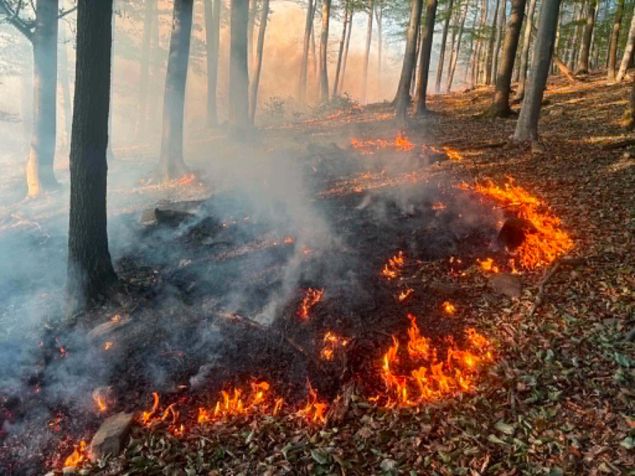 Fotó: Kőszegi Önkormányzati Tűzoltóság