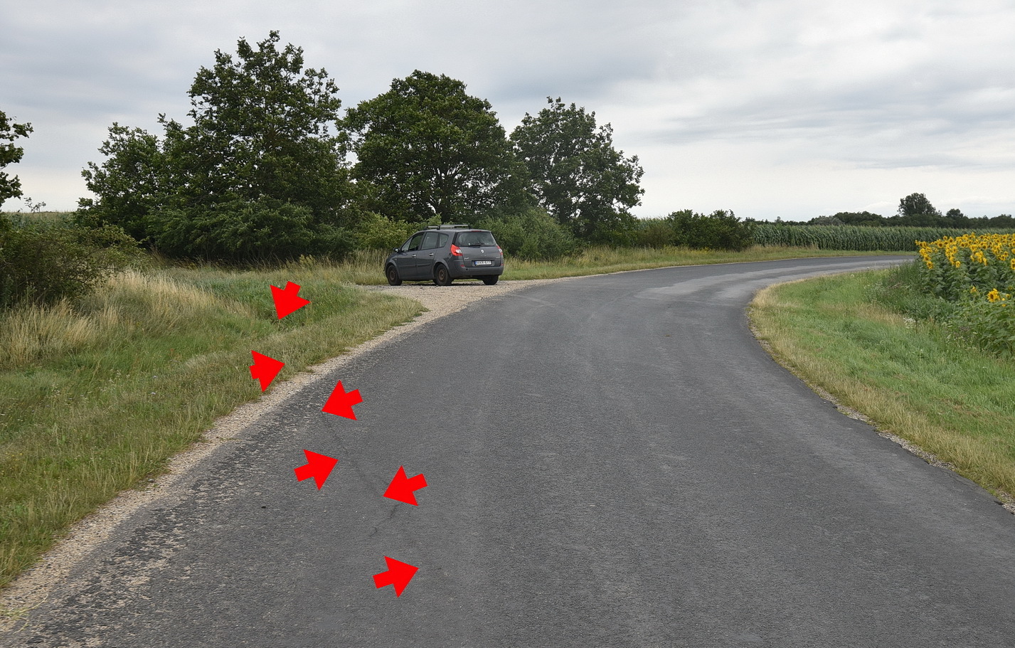 A motor árokba csapódott