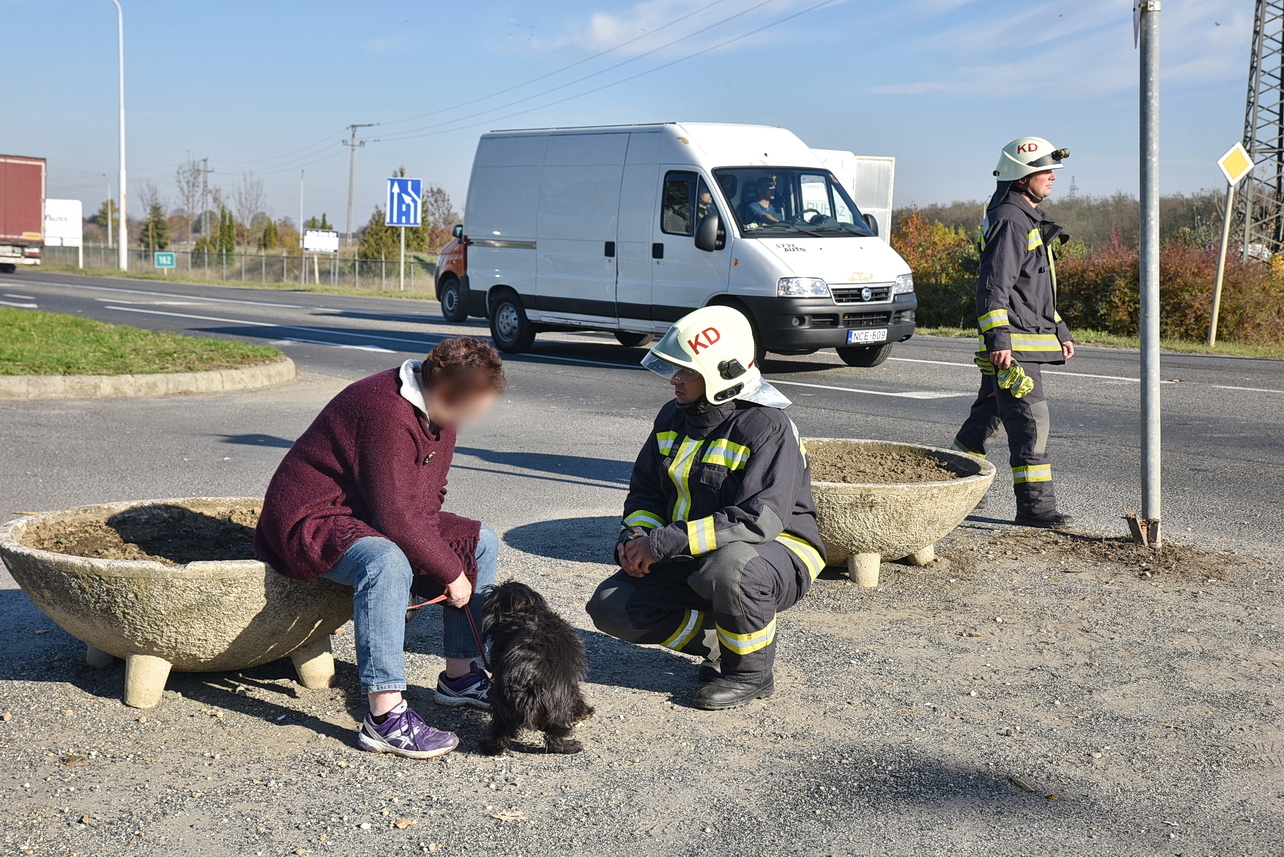 A német asszony karcolásokkal megúszta, kutyája nagyon megijedt