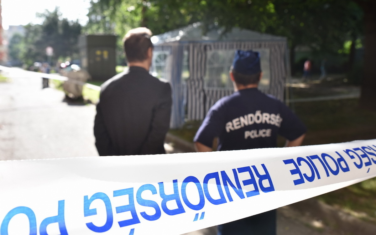 1321527925557164698833c