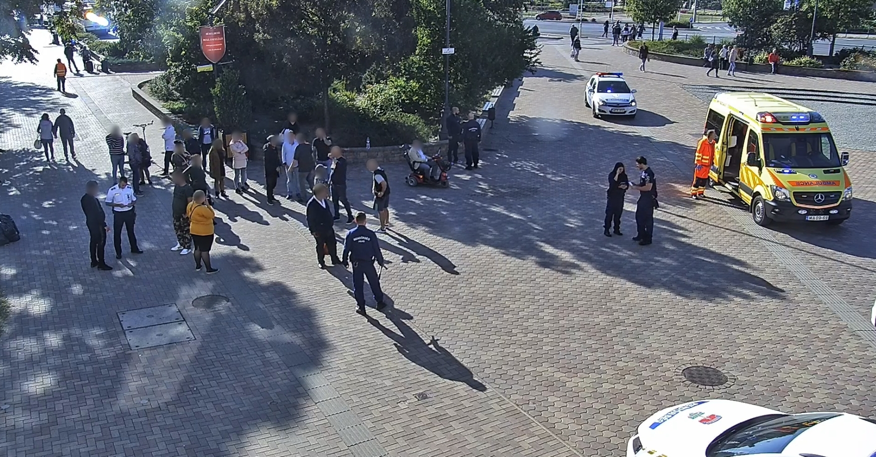 Fotó: Fejér Megyei Rendőr-főkapitányság