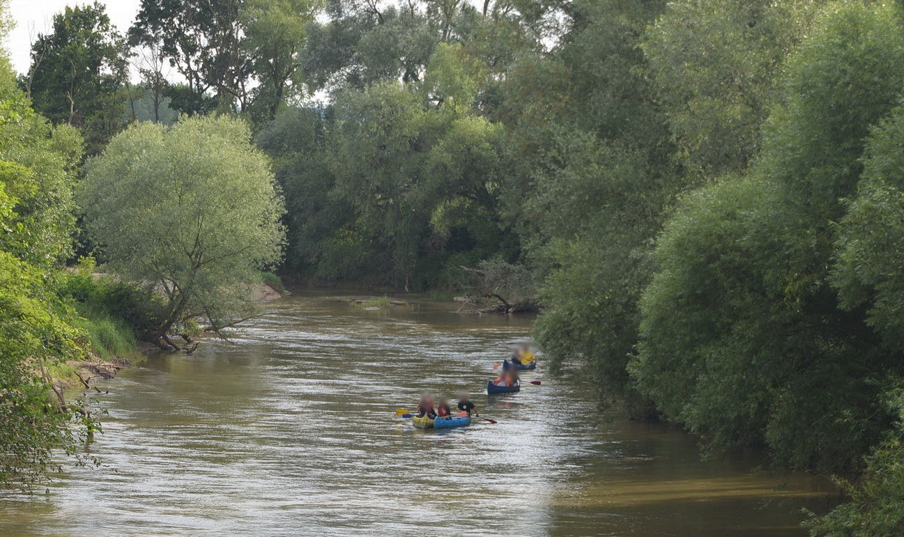 A csoport egyik része