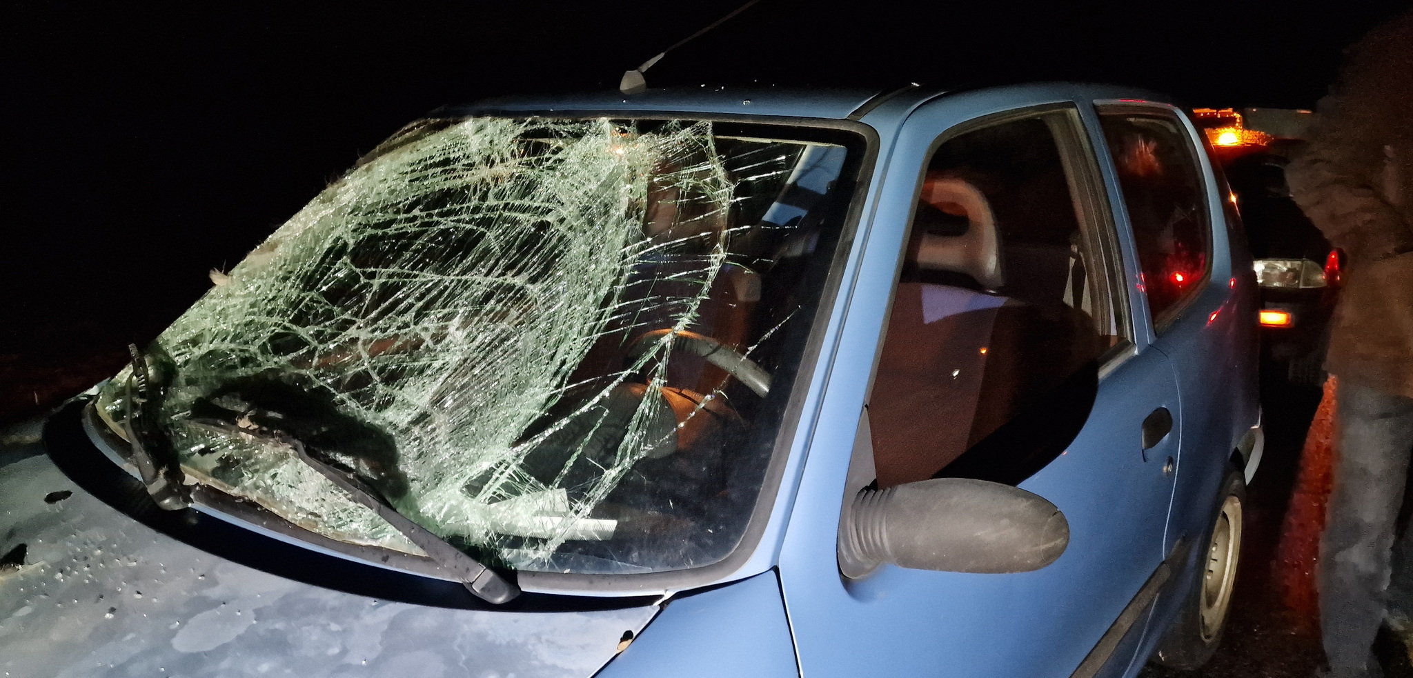 Őzet ütött el egy Fiat Ják és Szombathely között