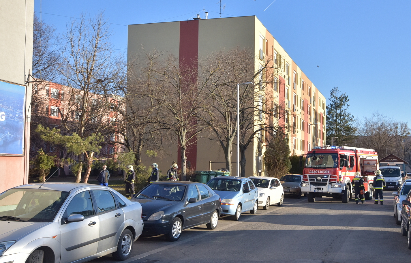 Tűzoltók vágták össze a társasház bejárata elő zuhant fát