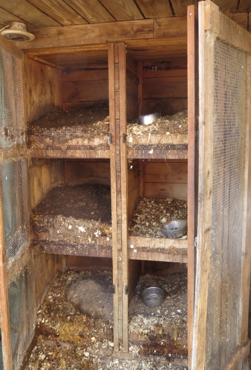 Szénásvölgypuszta 5.