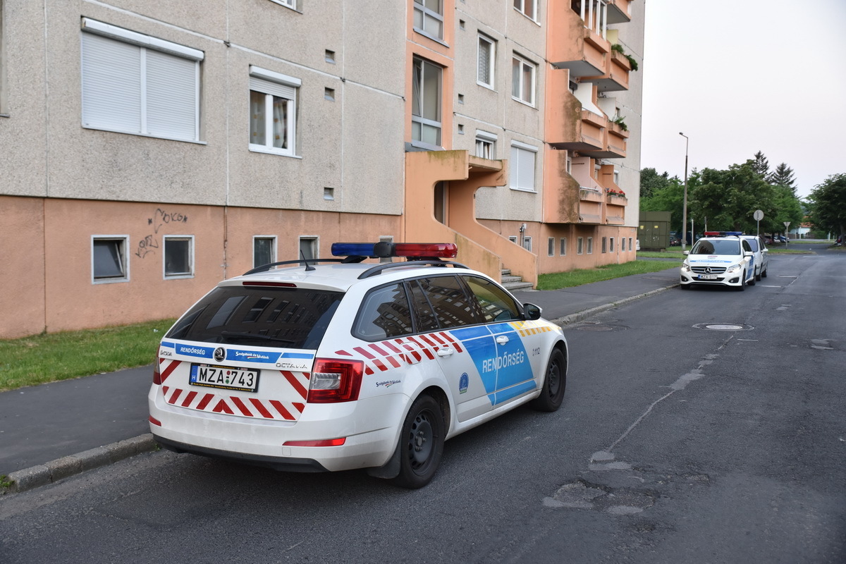 1136122584557129d7645fb