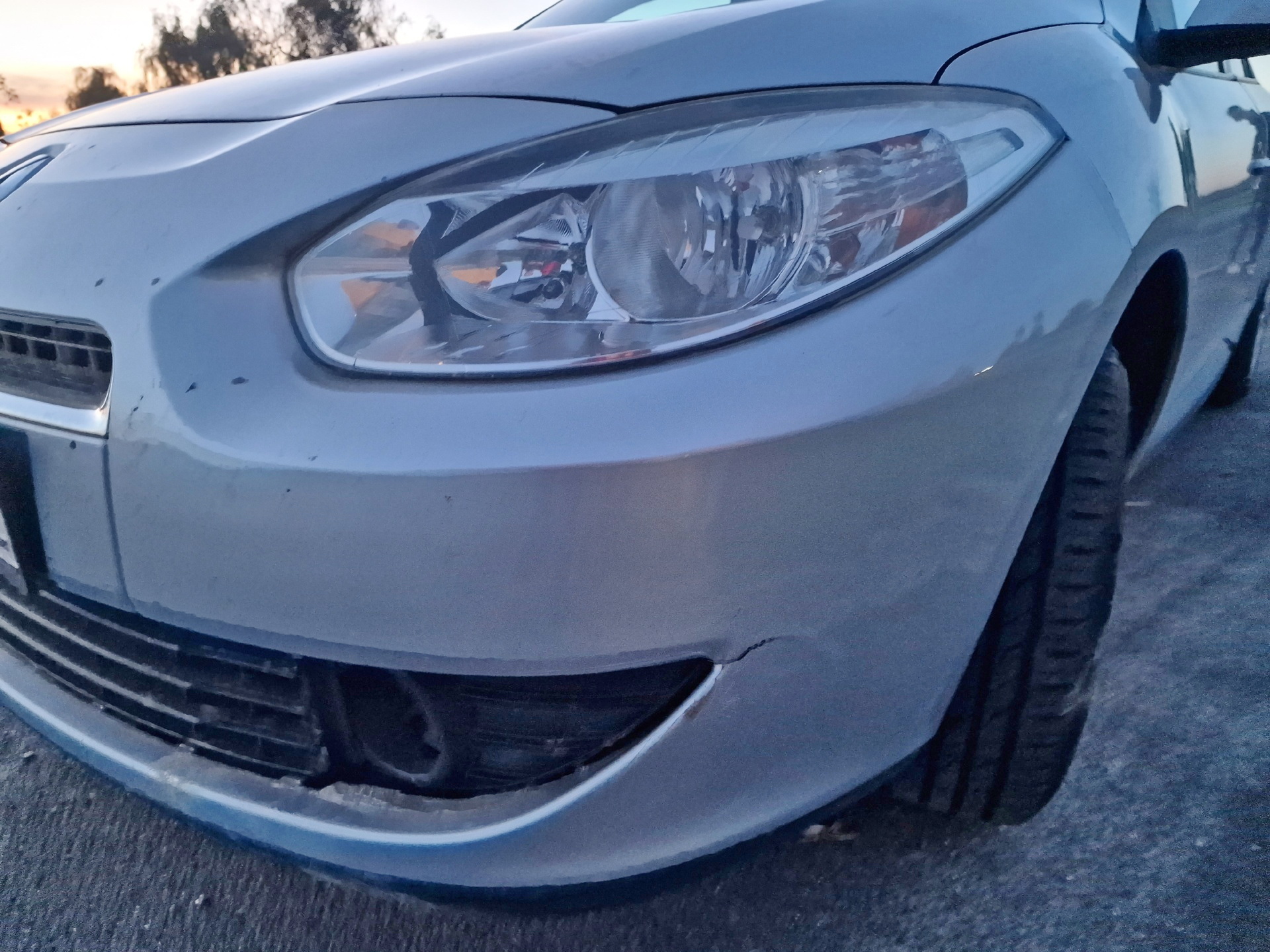 Két őz szaladt egy Renault elé a 87-es főúton - elpusztult az elütött vad