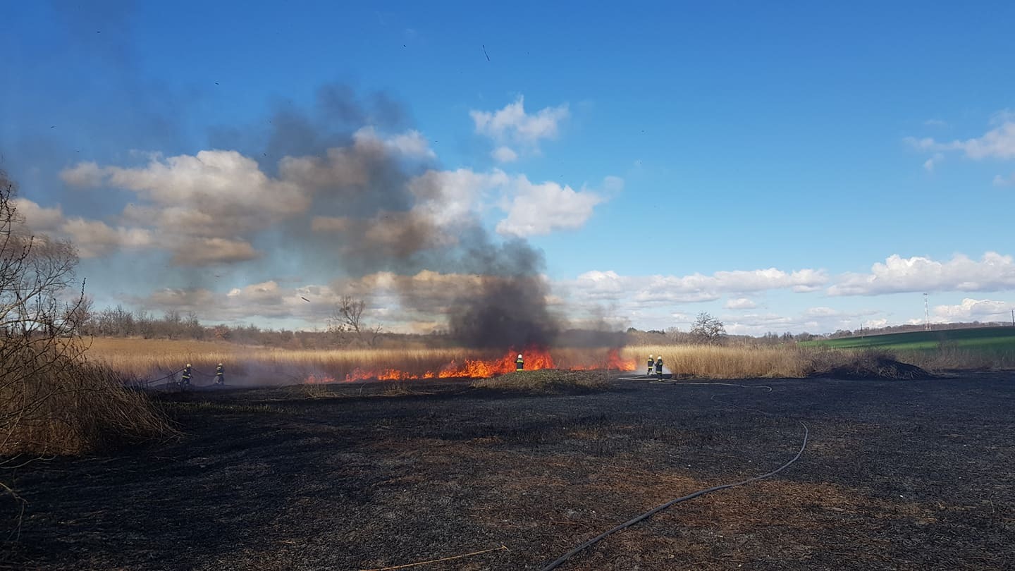 Fotó: Németh Balázs
