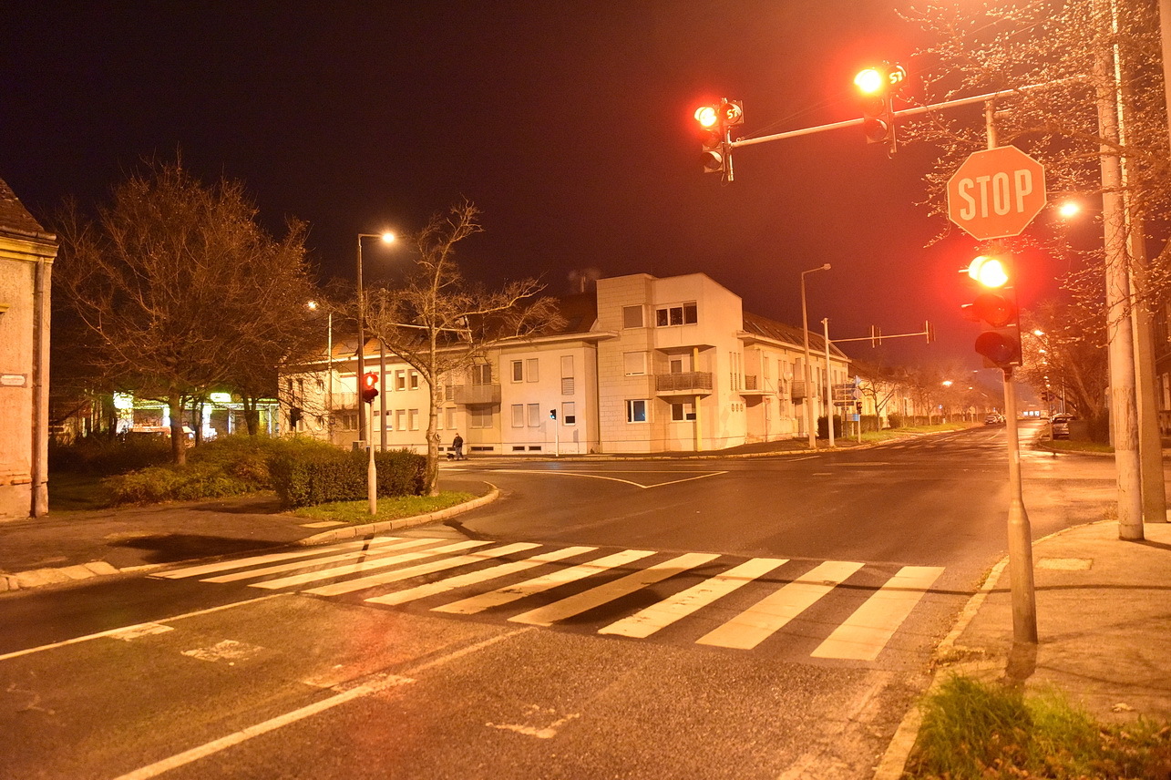 A sofőr azt mondta, a bokroktól nem látta az érkező autót