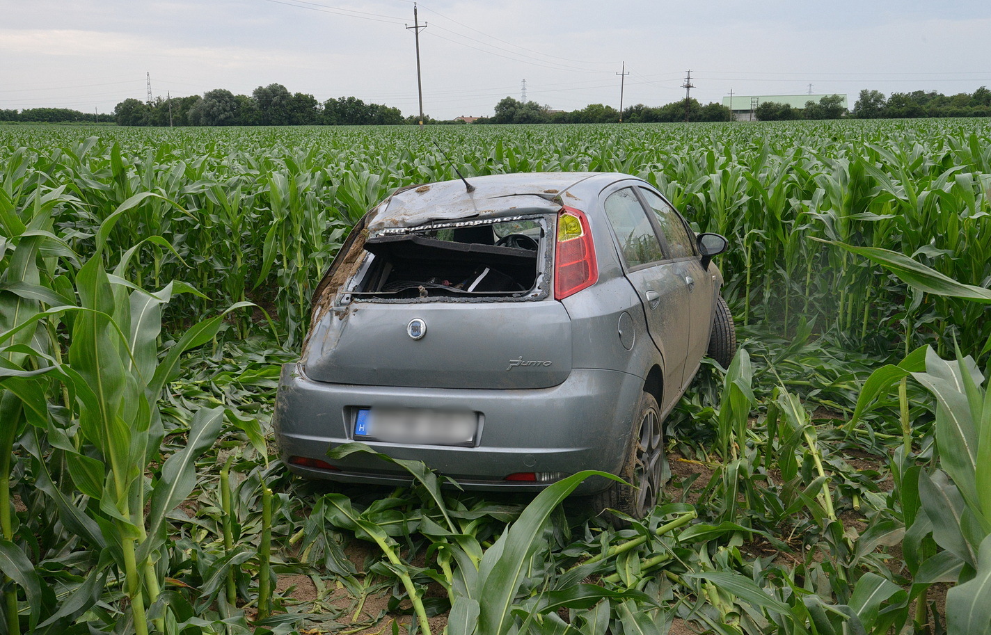 Kukoricatáblába csapódott egy Fiat a 87-es főútról, Táplánszentkereszt határában