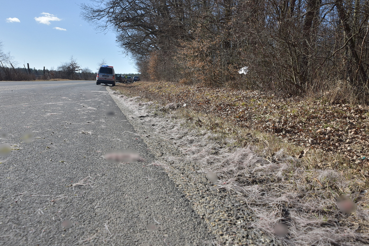 Az elütött őz szőre hosszú szakaszon ellepte az út szélét