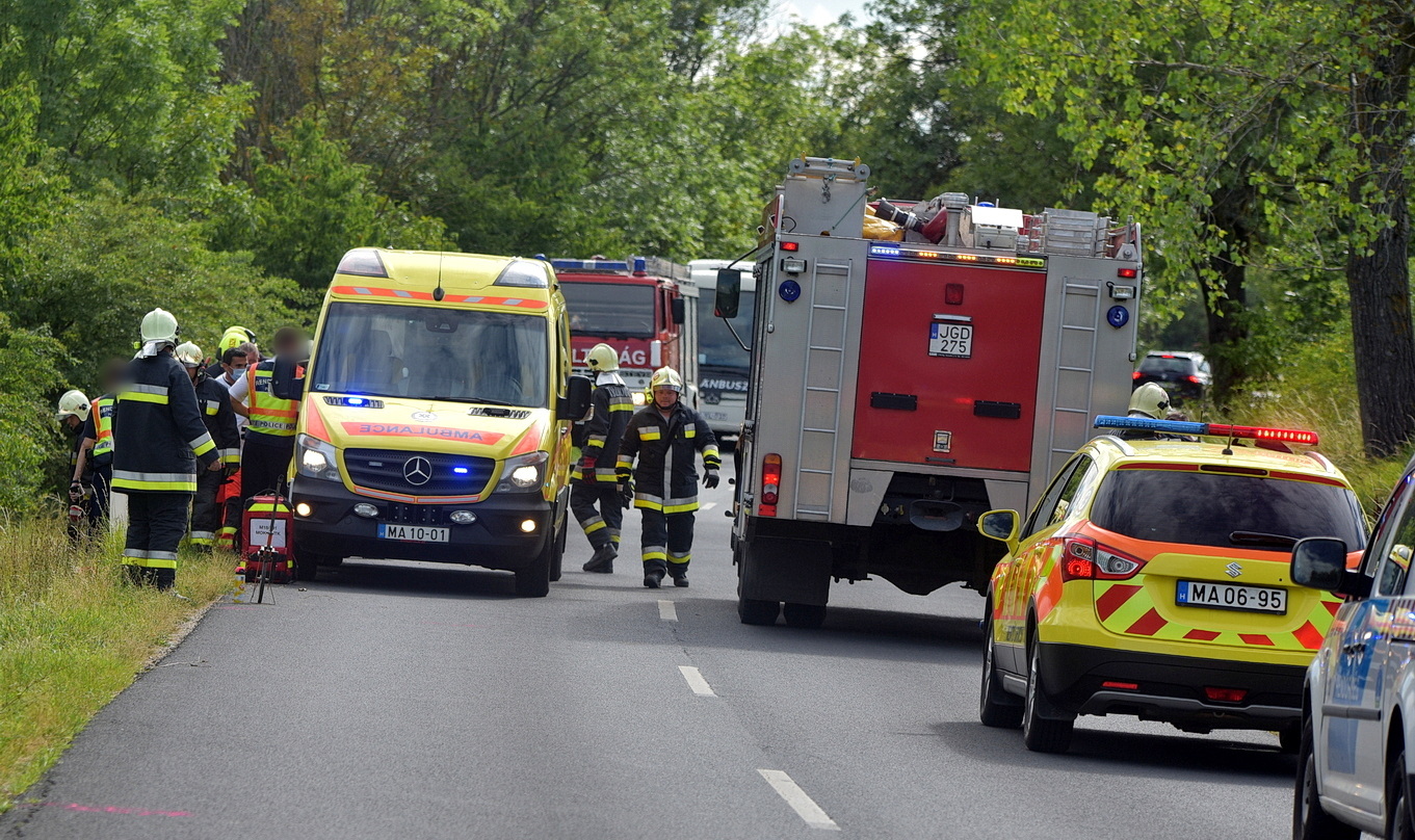 Bokrok közé csapódott egy Renault Kőszegdoroszló közelében - tűzoltók szabadították ki a sofőrt