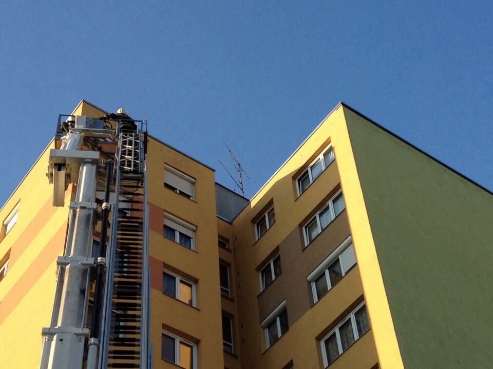 image-f82647ebb4ae0ed51877b6c5976a8b7b4d207859168142c84a6918d89a869d09-V_resized