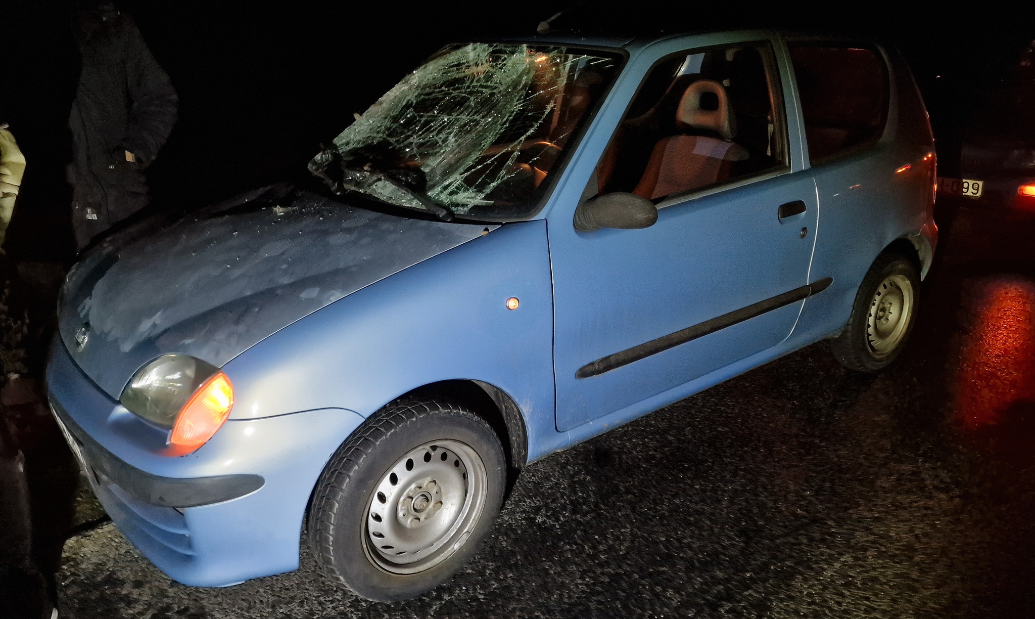 Őzet ütött el egy Fiat Ják és Szombathely között