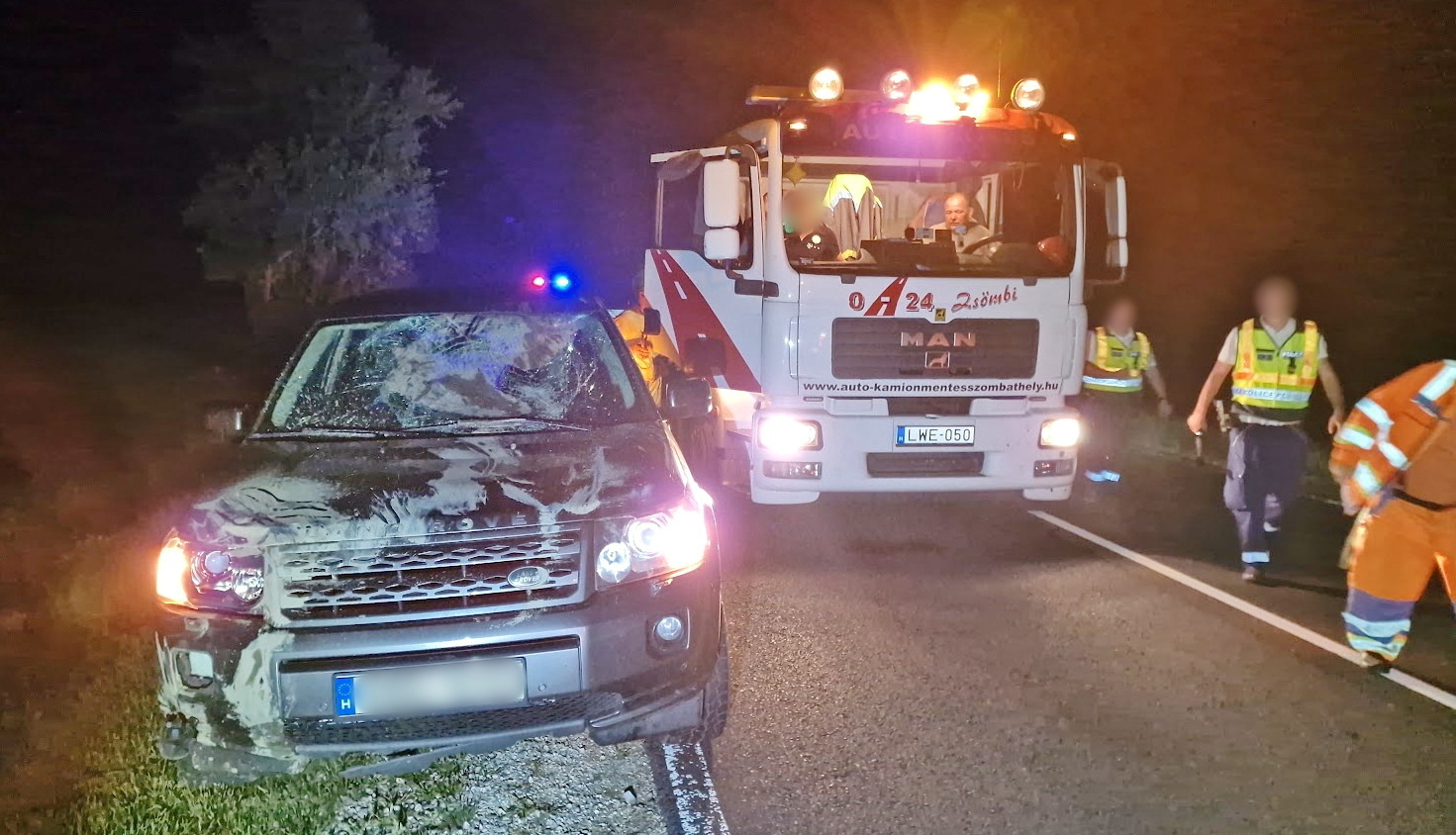 Úton álló termetes szarvast ütött el egy autó a 86-os főúton, Egyházasrádóc közelében