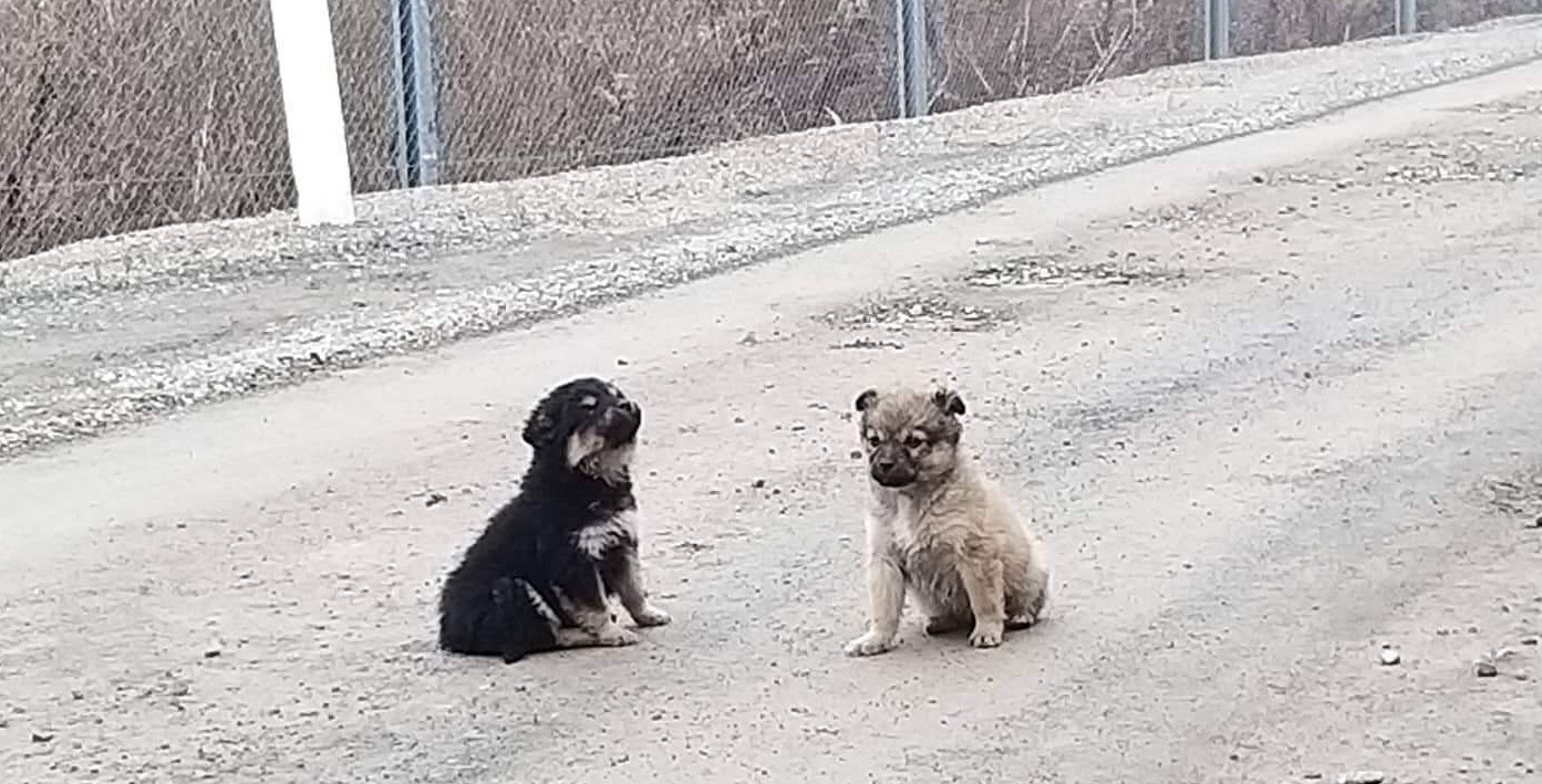 Forrás: ORFK Kommunikációs Szolgálat