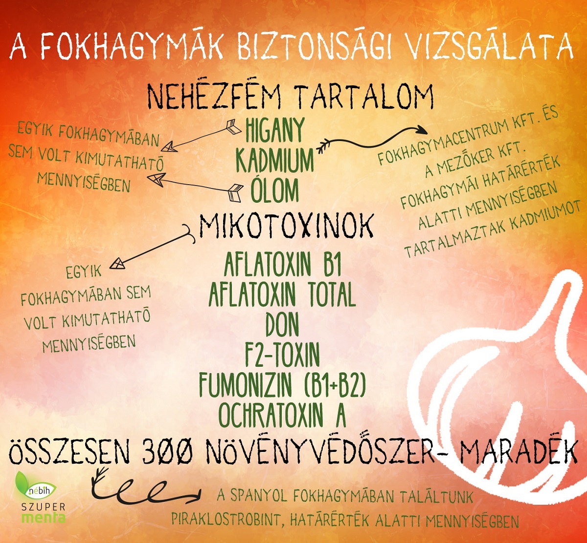 fokhagyma_biztonsagi03