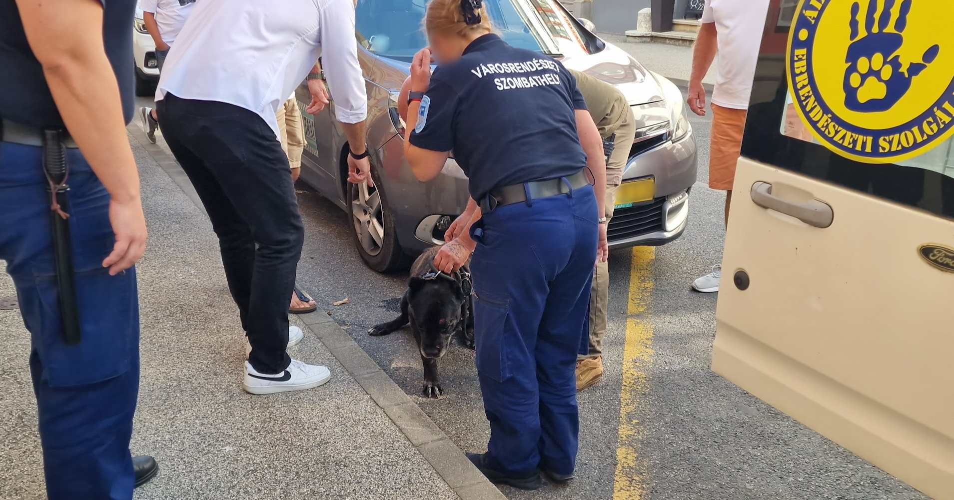 Nagytestű kutya esett ki egy emeleti ablakból, Szombathelyen Nagytestű kutya esett ki egy emeleti ablakból, Szombathelyen