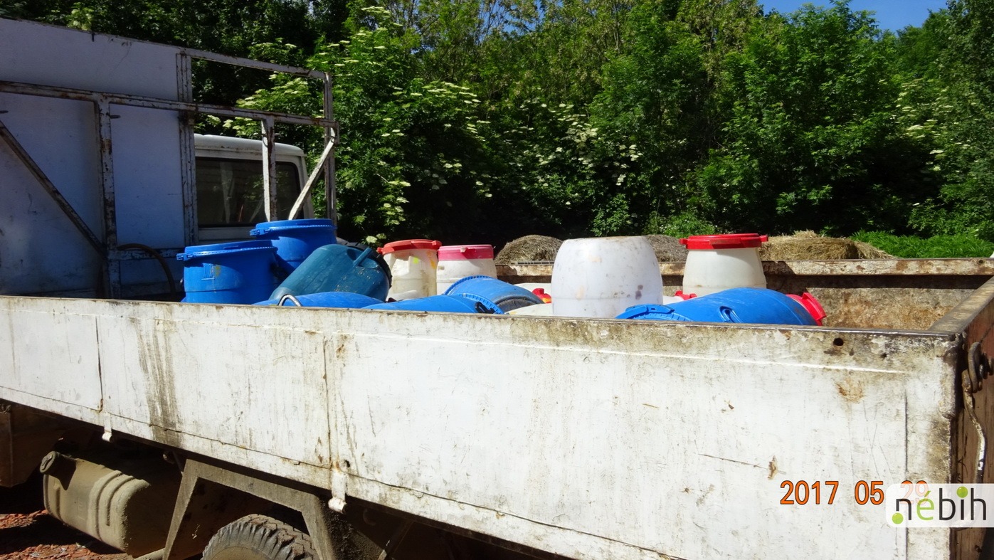 Csalás útján jutott a moslék a malacokhoz a kutyák helyett