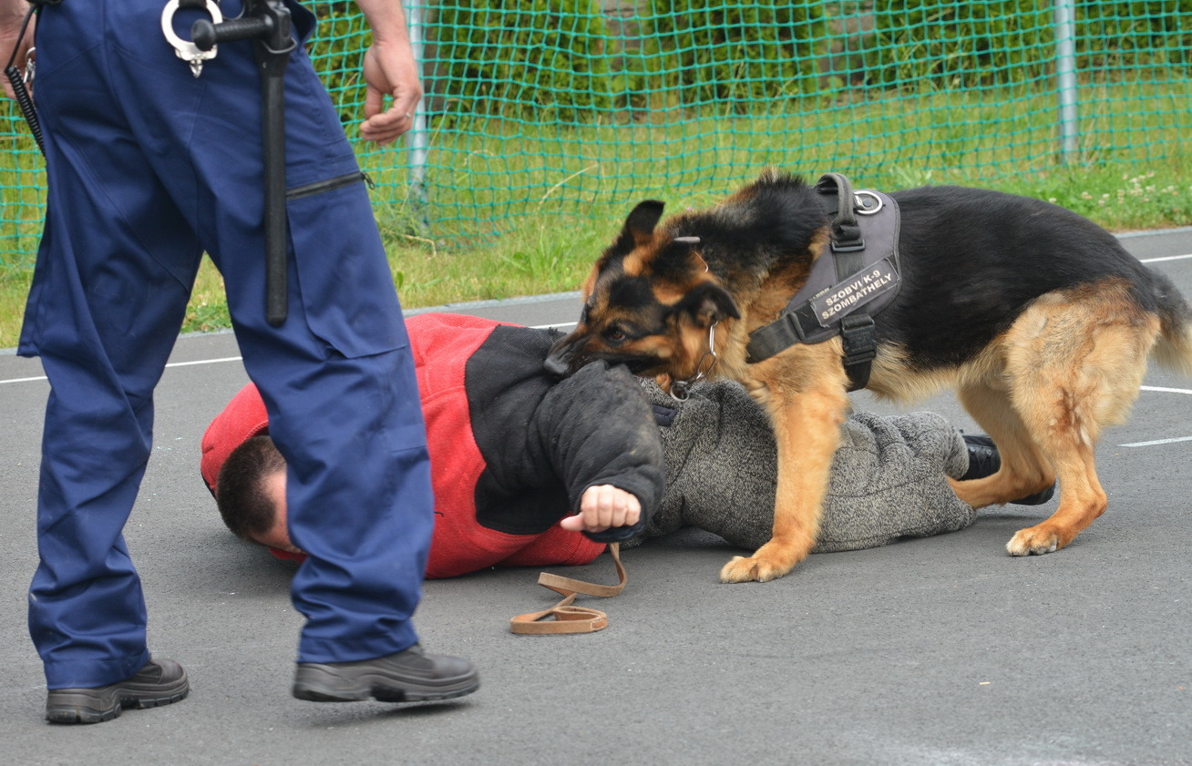 Bűnmegelőzési bemutató a Brenner iskolában Szombathelyen