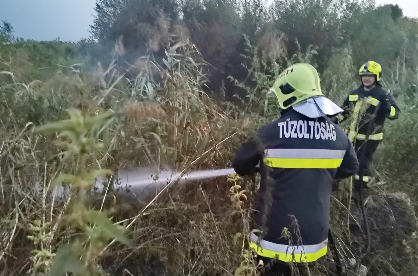 Szombathelyi tűzoltók oltották el a bozóttüzet és az izzó szemetet Fotó: Szombathelyi HTP
