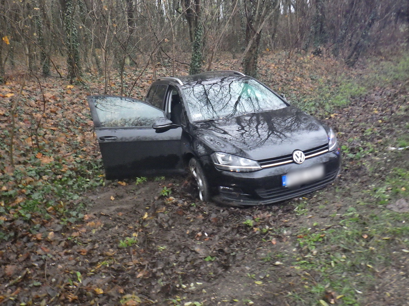 Fotó: Székesfehérvári HTP