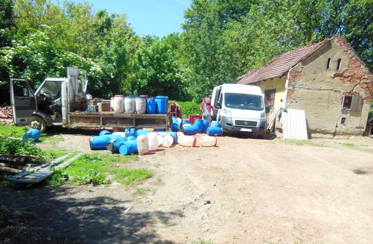 Csalás útján jutott a moslék a malacokhoz a kutyák helyett