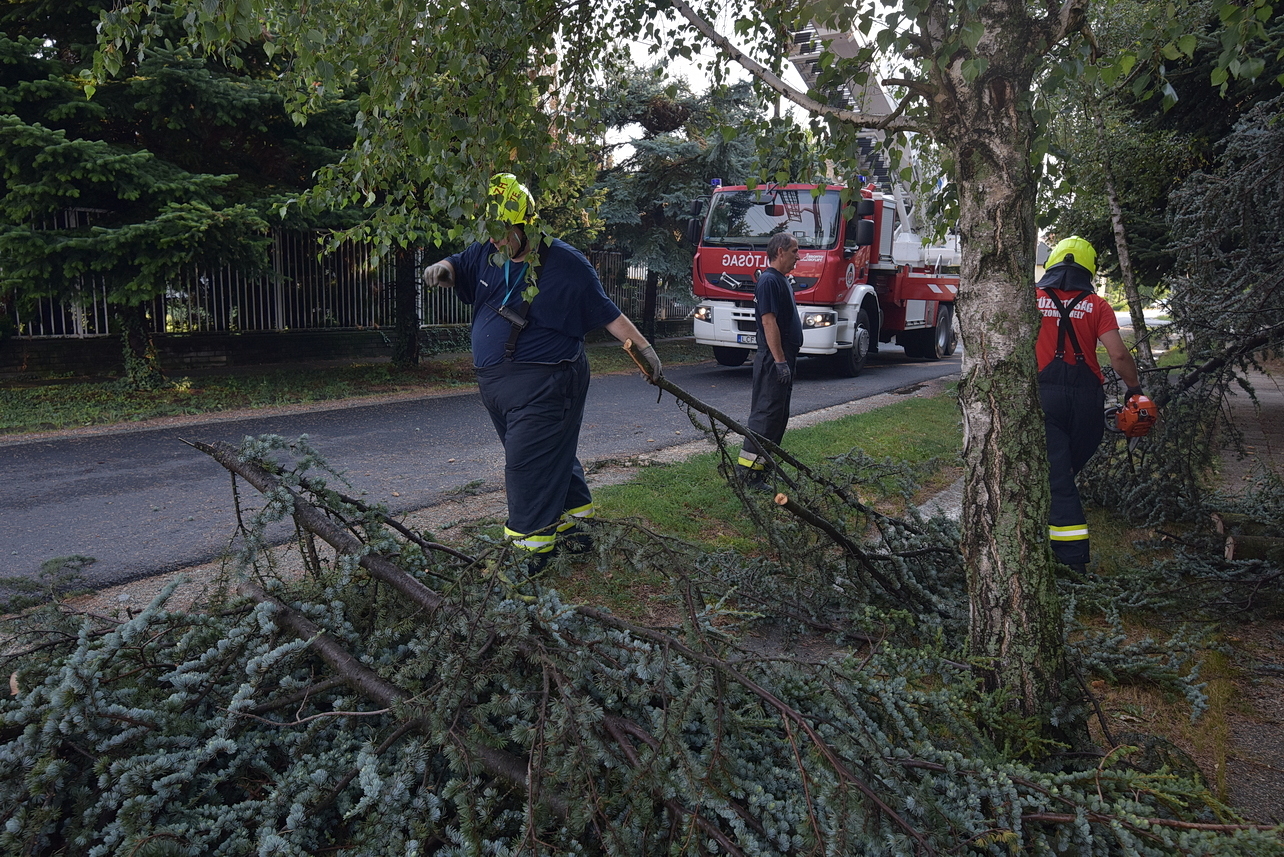 Fenyőfa vastag ága zuhant másik fára és kerítésre a szombathelyi Élmunkás utcában