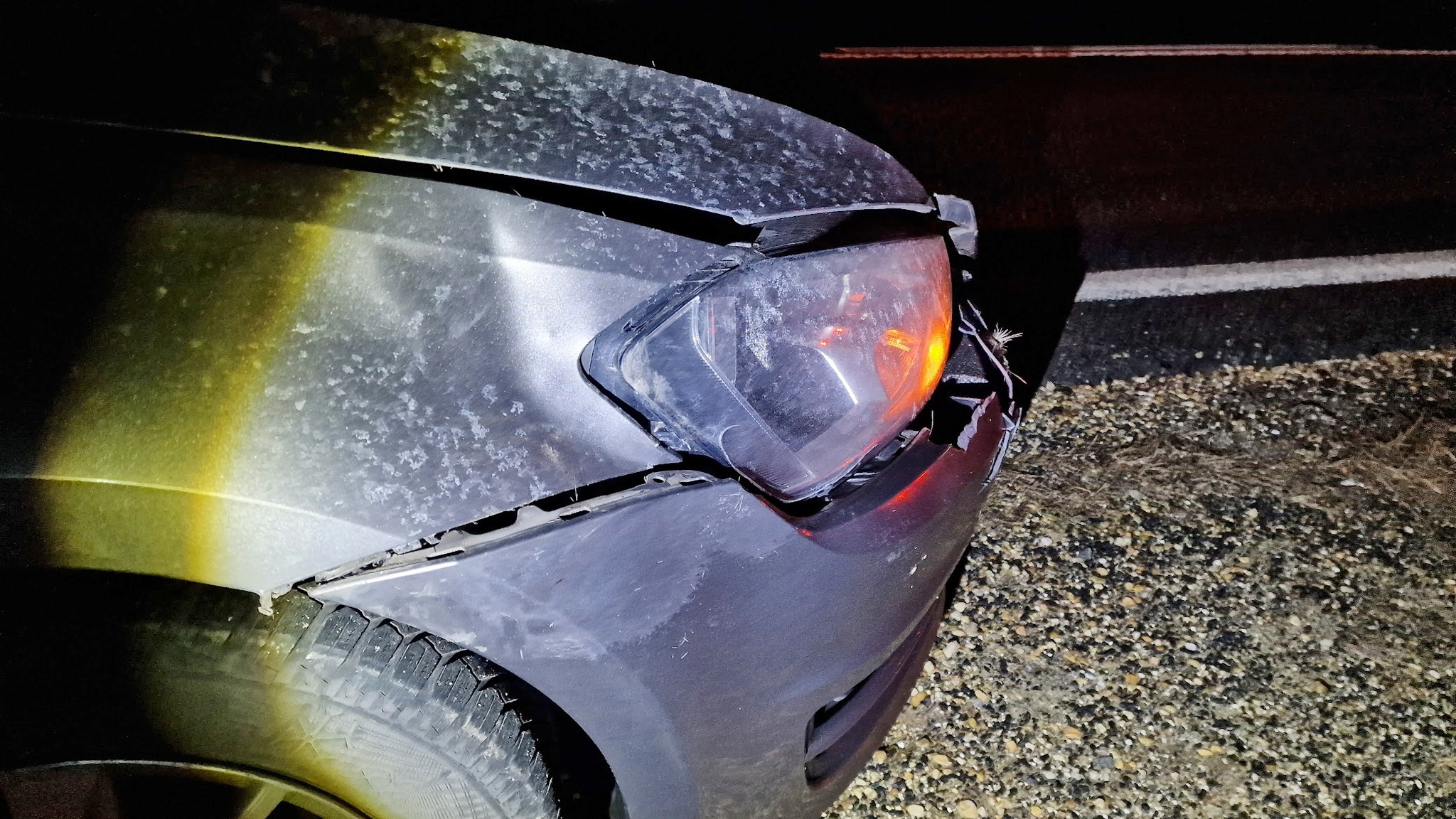 Őzet ütött el egy VW a 89-es főúton, Sé közelében