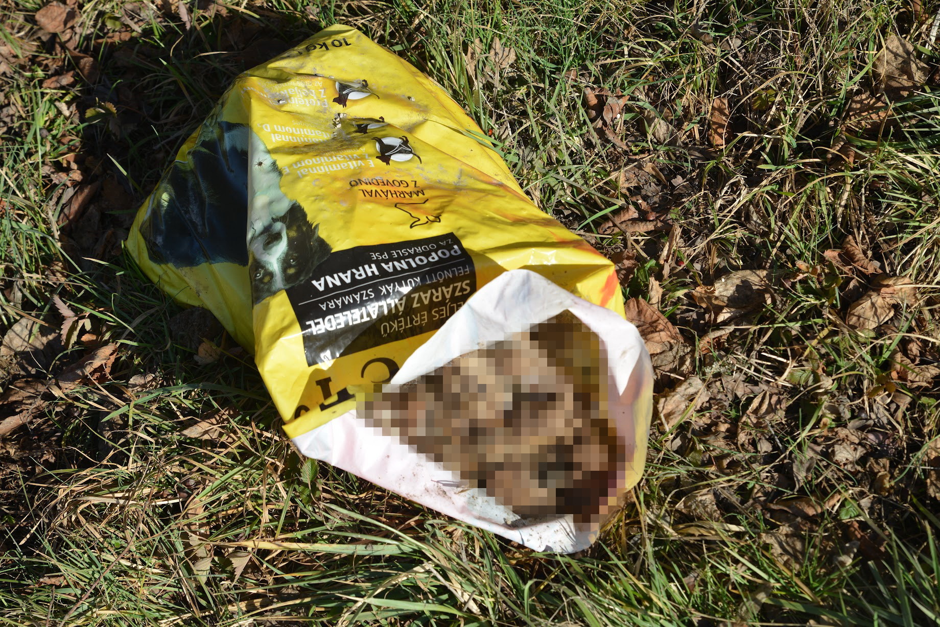 A 10 kg-os kutyaeledeles zsákokat jellemzően háromnegyedig pakolták kutyaürülékkel