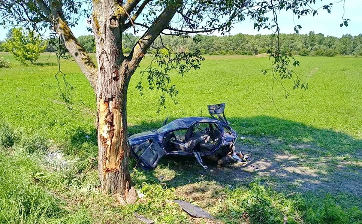 Fotó: Komárom-Esztergom MRFK