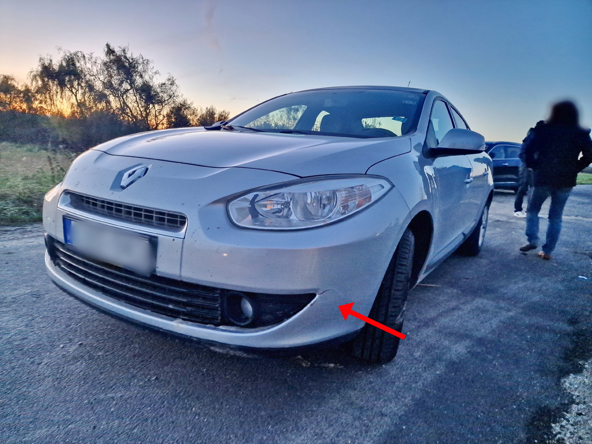 Két őz szaladt egy Renault elé a 87-es főúton - elpusztult az elütött vad