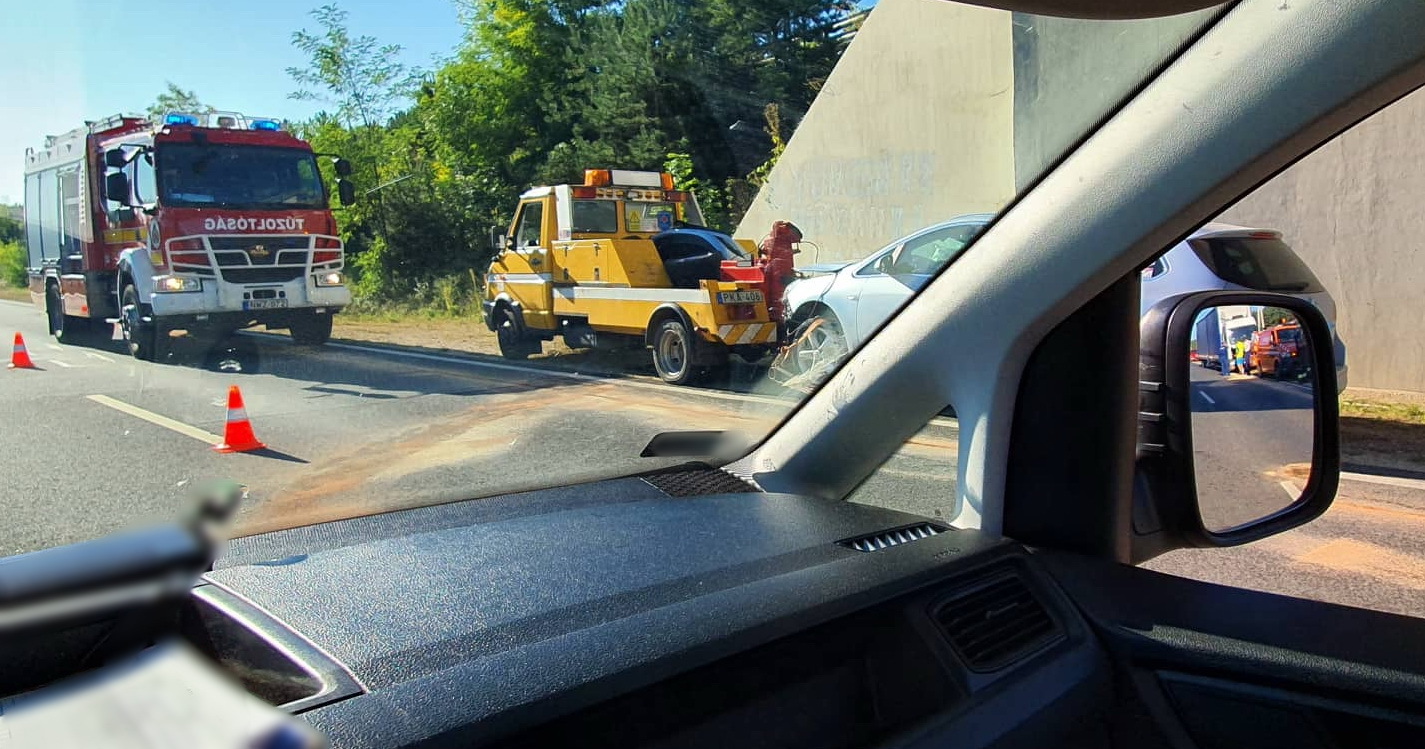 szarvasgazolas_veszprem2