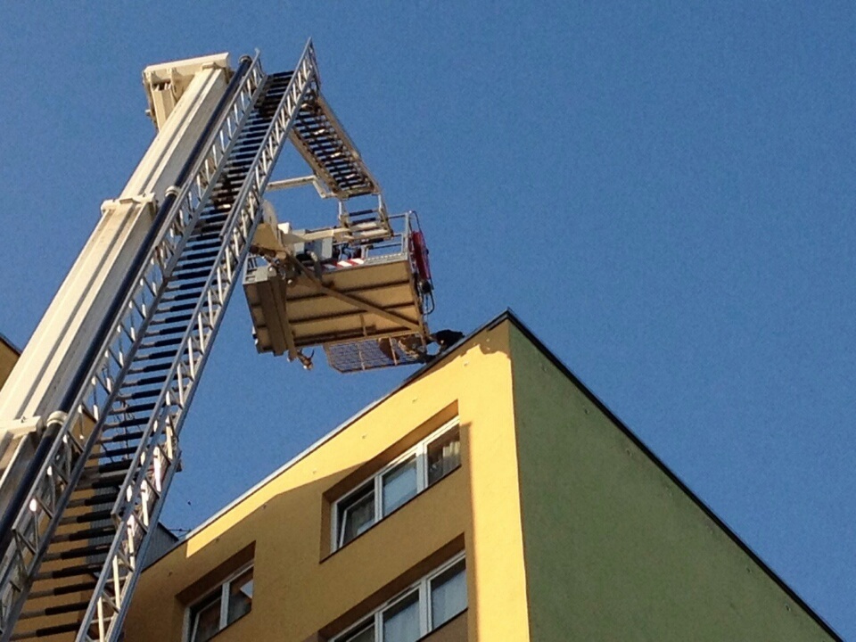 image-9866d331529f1e64d8059bb233f499ae4e360ccf47e38af83f1d51a7d1801ef7-V_resized