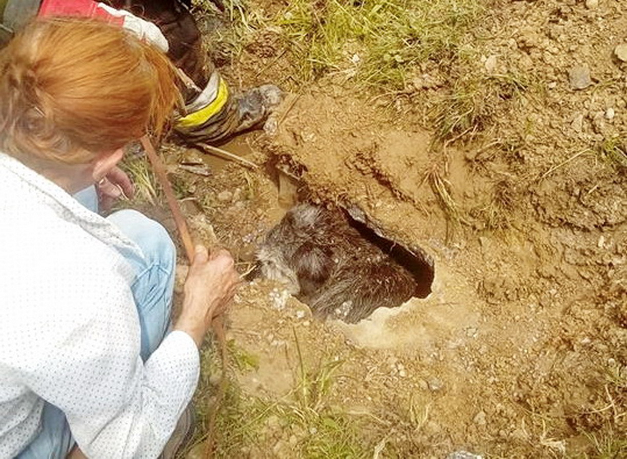 2018.07.10.Cák Fotó:  Kőszegszerdahelyi ÖTP