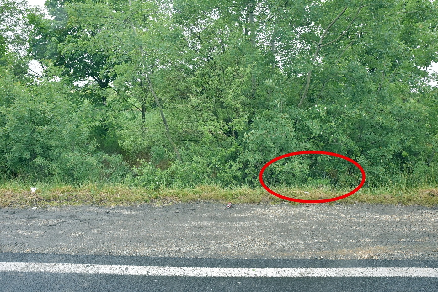 VW sodródott le a töltésről a 87-es főúton, Szombathely határában