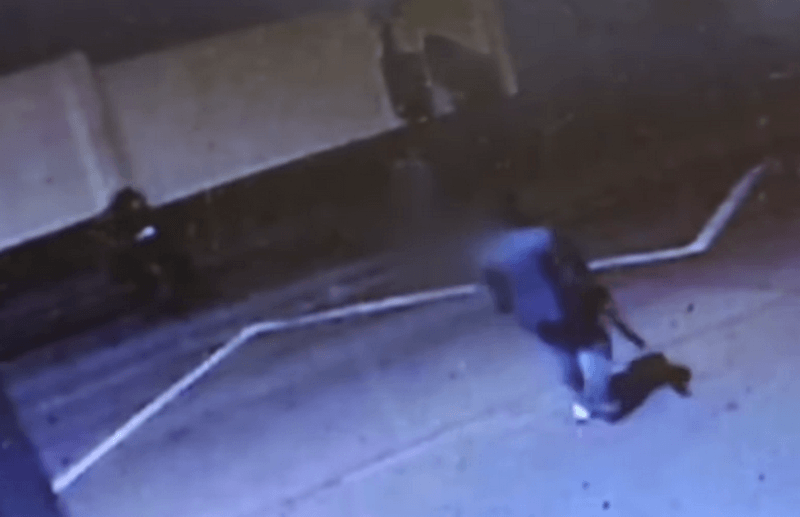 Begyógyszerezett támadó