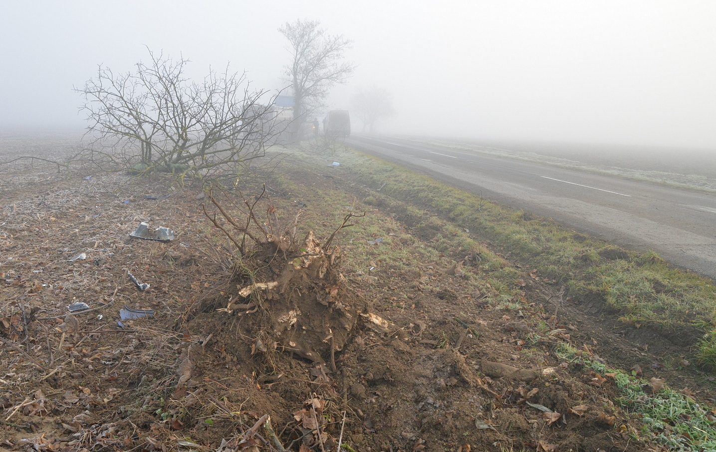 Gyökerestől fordított ki egy nagy fát az ütközésnél egy Mercedes billencs Rábahídvég közelében