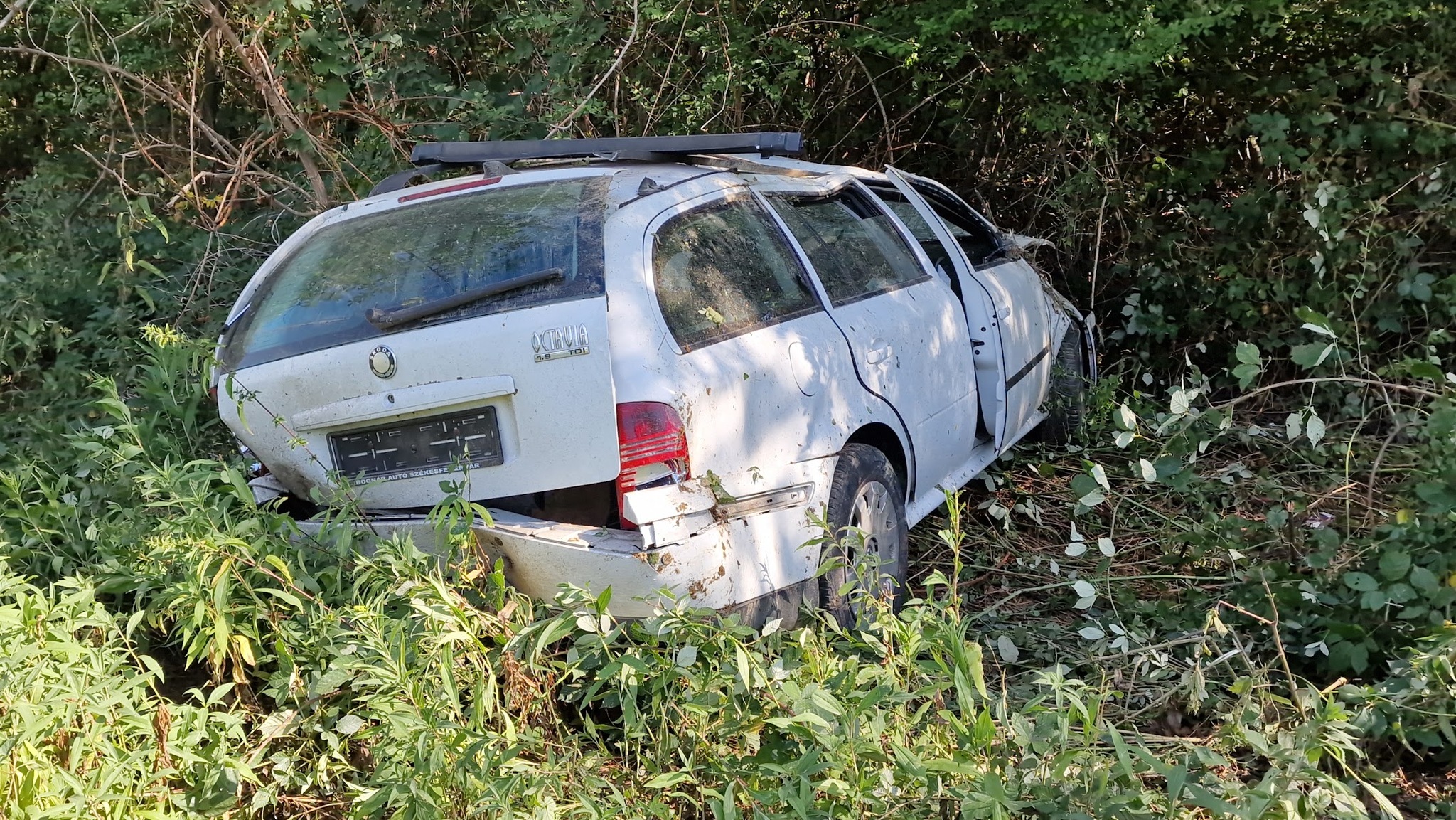 Fák közé csapódott egy Skoda Horvátzsidány közelében - vizes burkolaton, kanyarban csúszott meg az autó