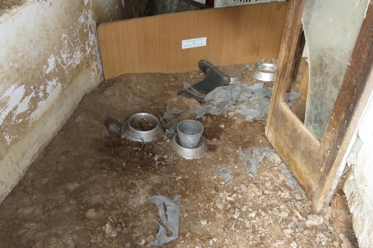 Szénásvölgypuszta 4.