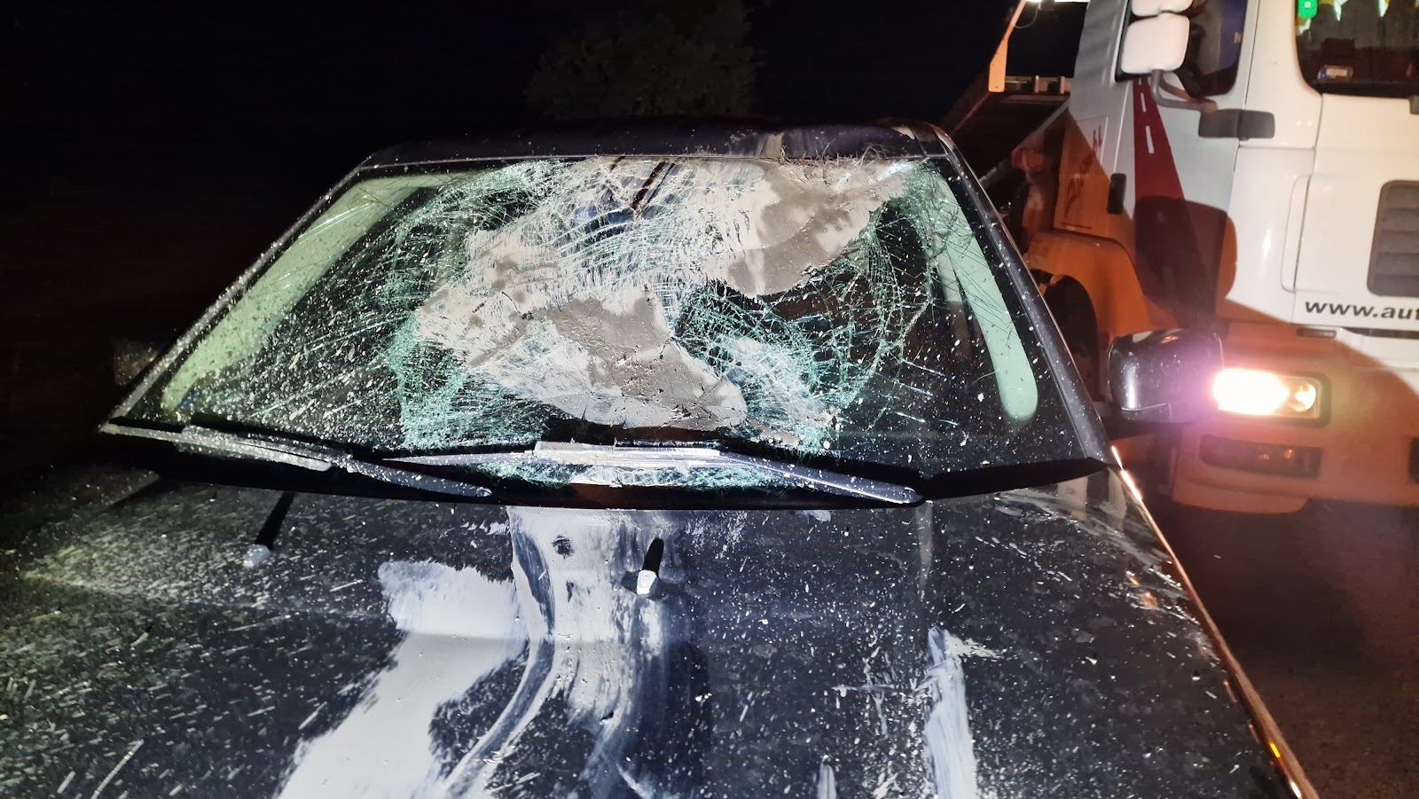 Úton álló termetes szarvast ütött el egy autó a 86-os főúton, Egyházasrádóc közelében