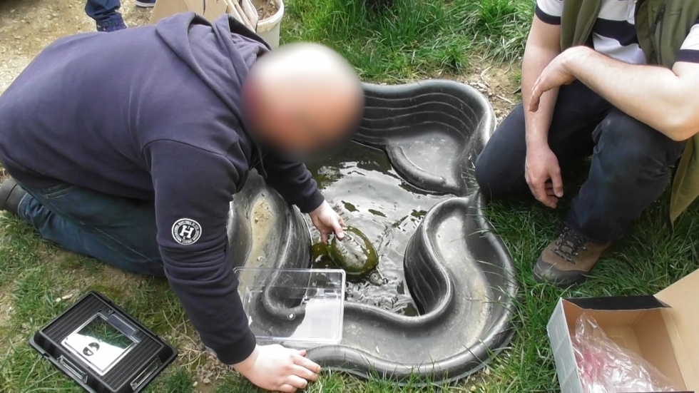 Fokozottan védett hüllőket foglaltak le a nyomozók Vas megyében