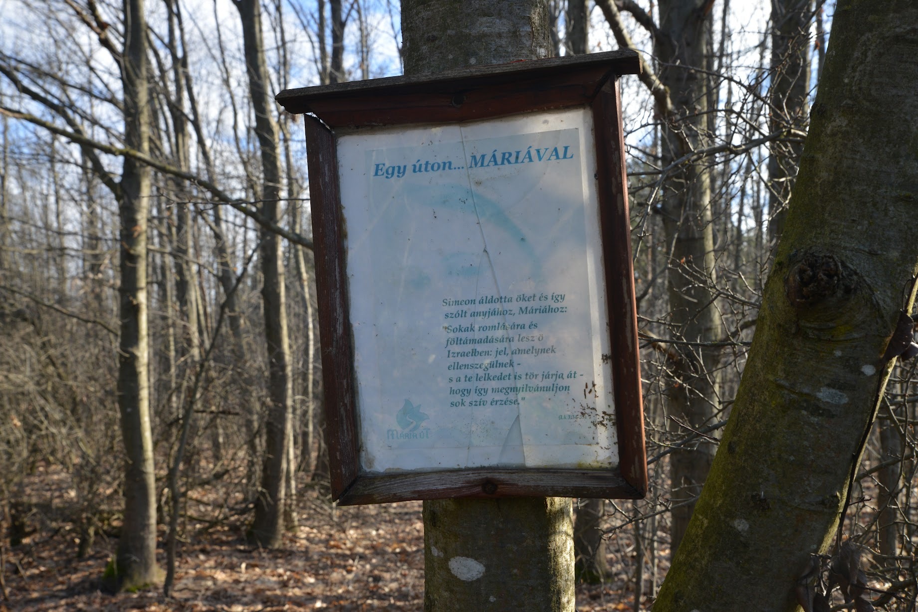 A Mária út mellé is kutyaürülékes zsákokat tett az ismeretlen, több kiló matériával